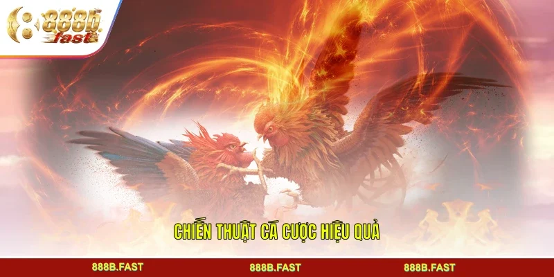 Chiến thuật cá cược hiệu quả