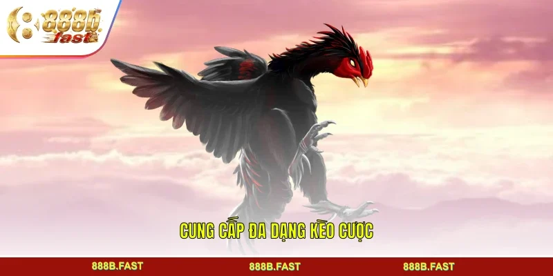 Cung cấp đa dạng kèo cược