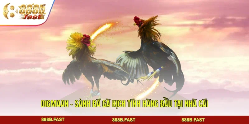 Digmaan - Sảnh Đá Gà Kịch Tính Hàng Đầu Tại Nhà Cái