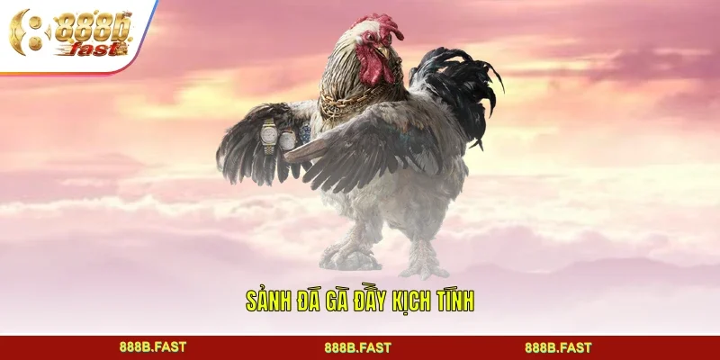 Sảnh đá gà đầy kịch tính