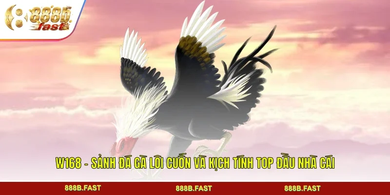 W168 - Sảnh Đá Gà Lôi Cuốn Và Kịch Tính Top Đầu Nhà Cái